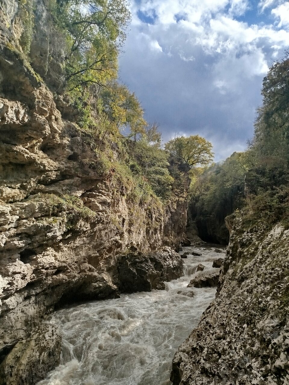 Гостиница Тихая полянка Даховская-96