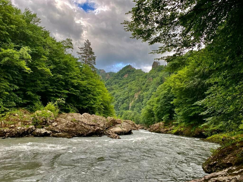 Гостиница Тихая полянка Даховская-65