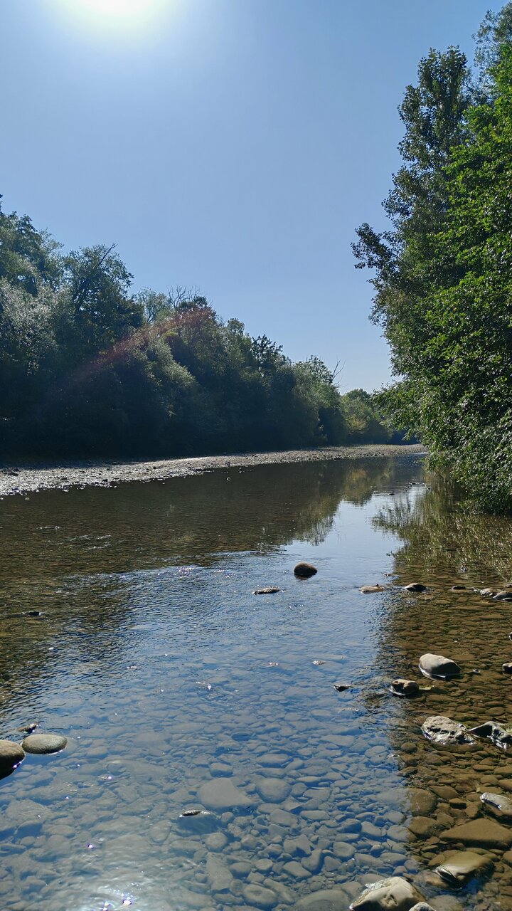 Гостиница Тихая полянка Даховская-180