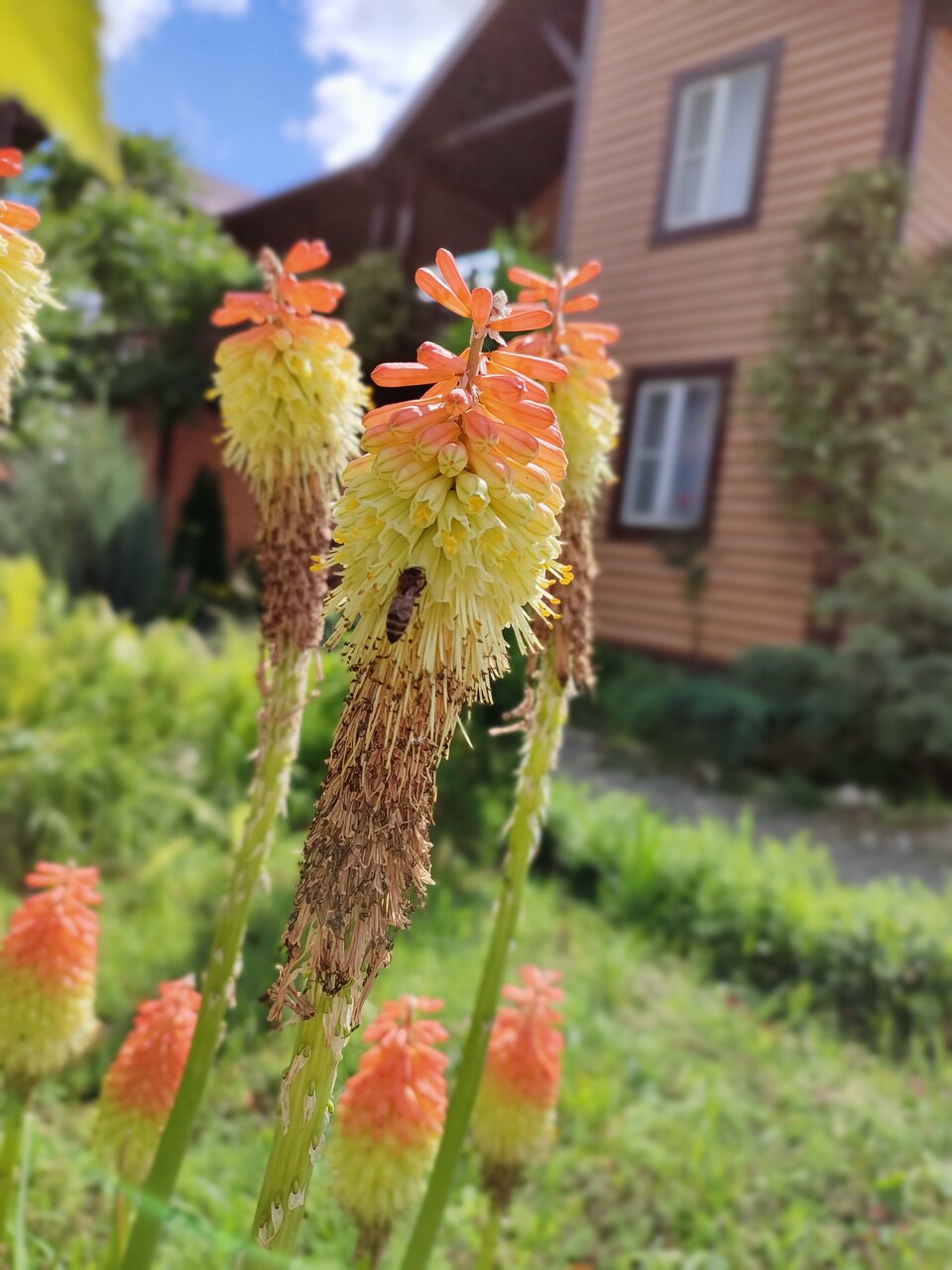 Гостиница Тихая полянка Даховская-40