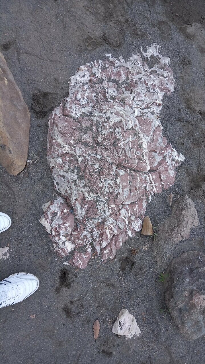 Гостиница Тихая полянка Даховская-99