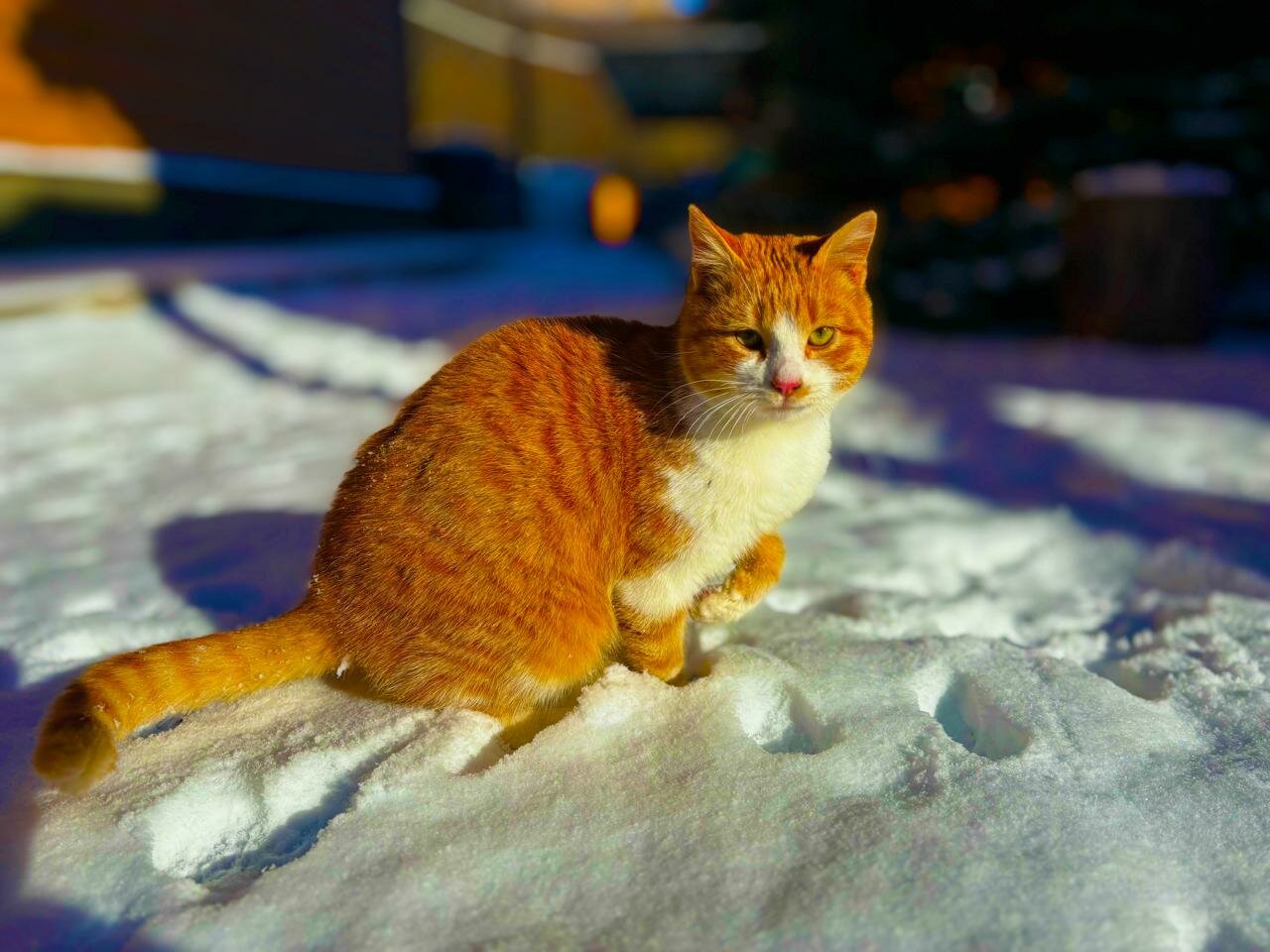 Гостиница Тихая полянка Даховская-126