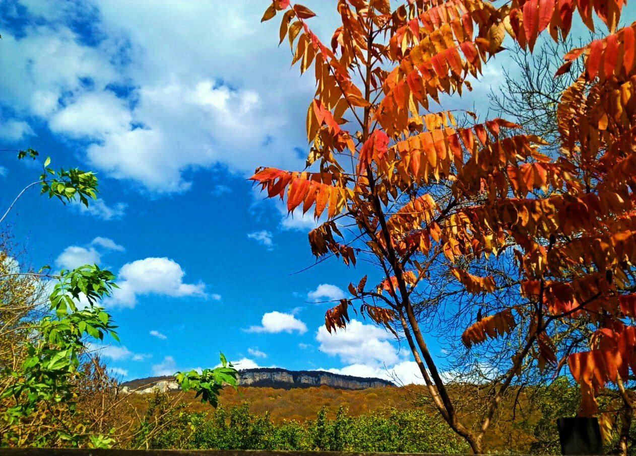 Гостиница Тихая полянка Даховская-113