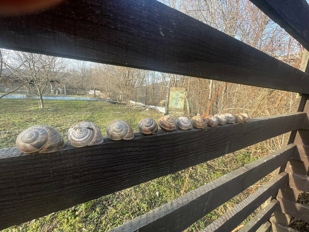 Гостиница Тихая полянка Даховская-50