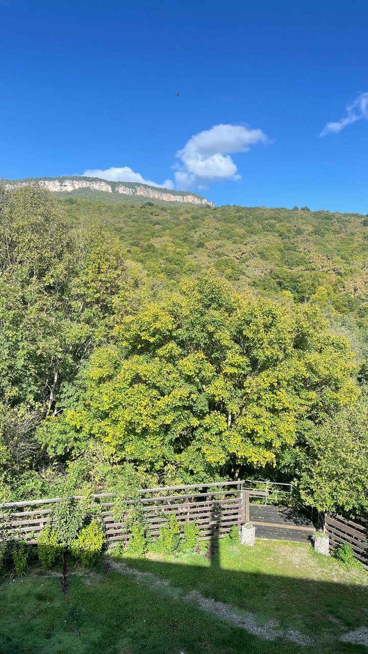 Гостиница Тихая полянка Даховская-82