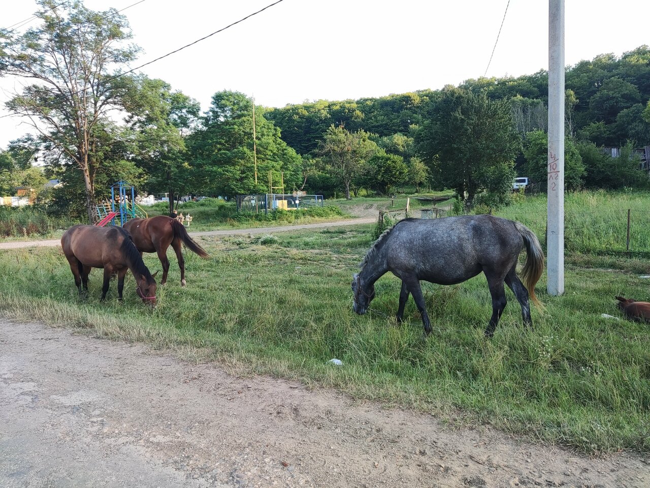 Гостиница Тихая полянка Даховская-90