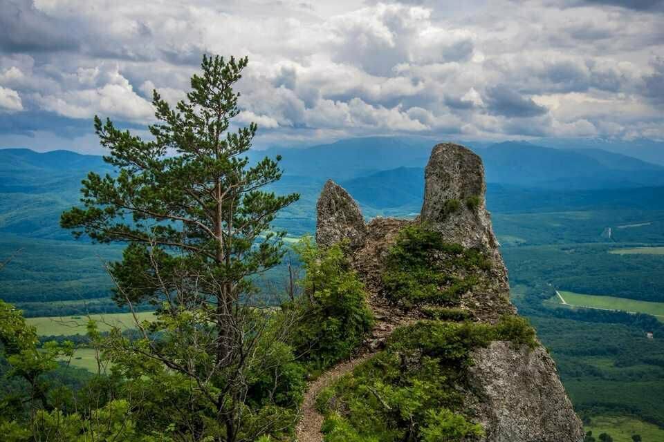 Гостиница Тихая полянка Даховская-76