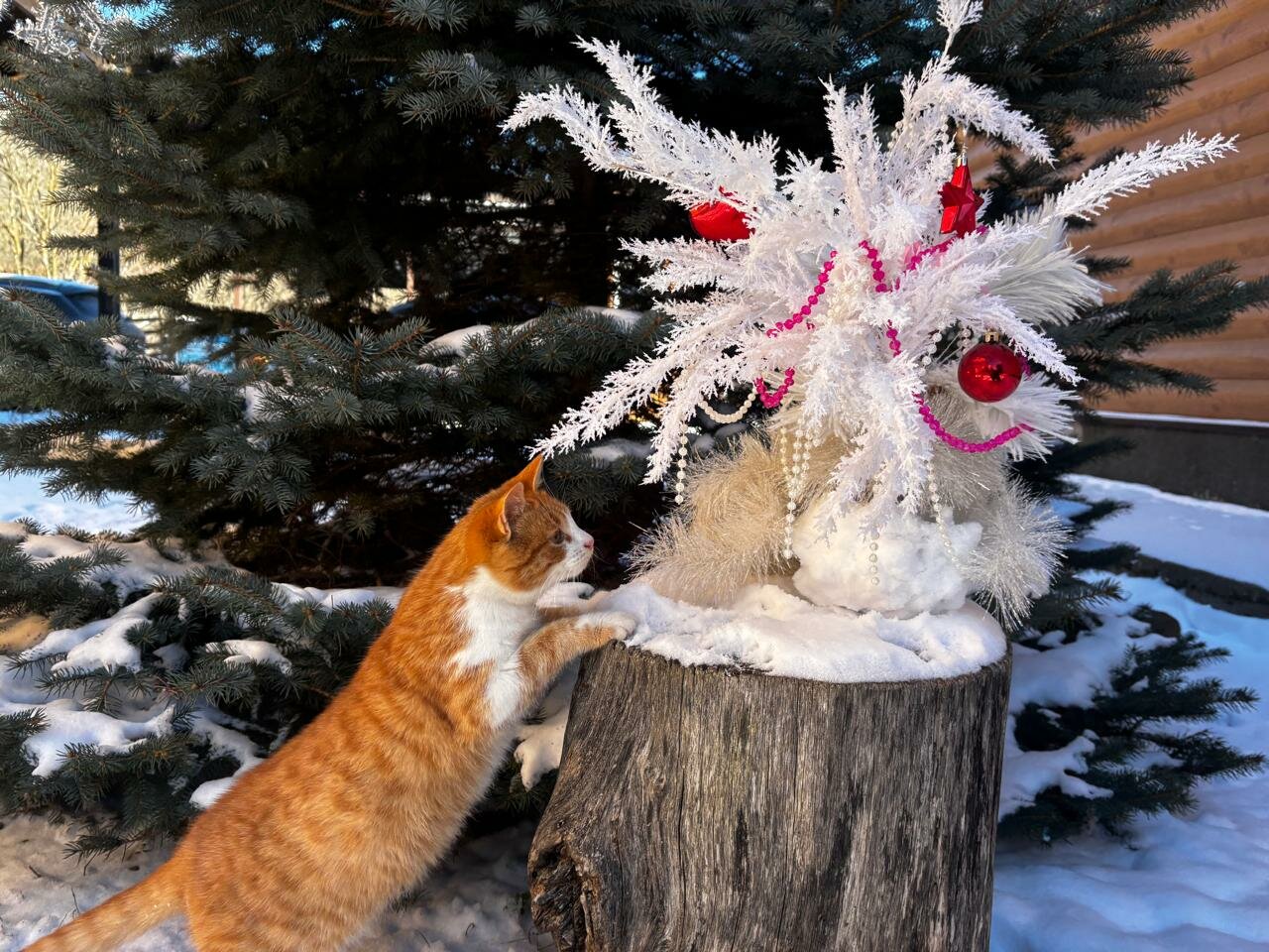 Гостиница Тихая полянка Даховская-17