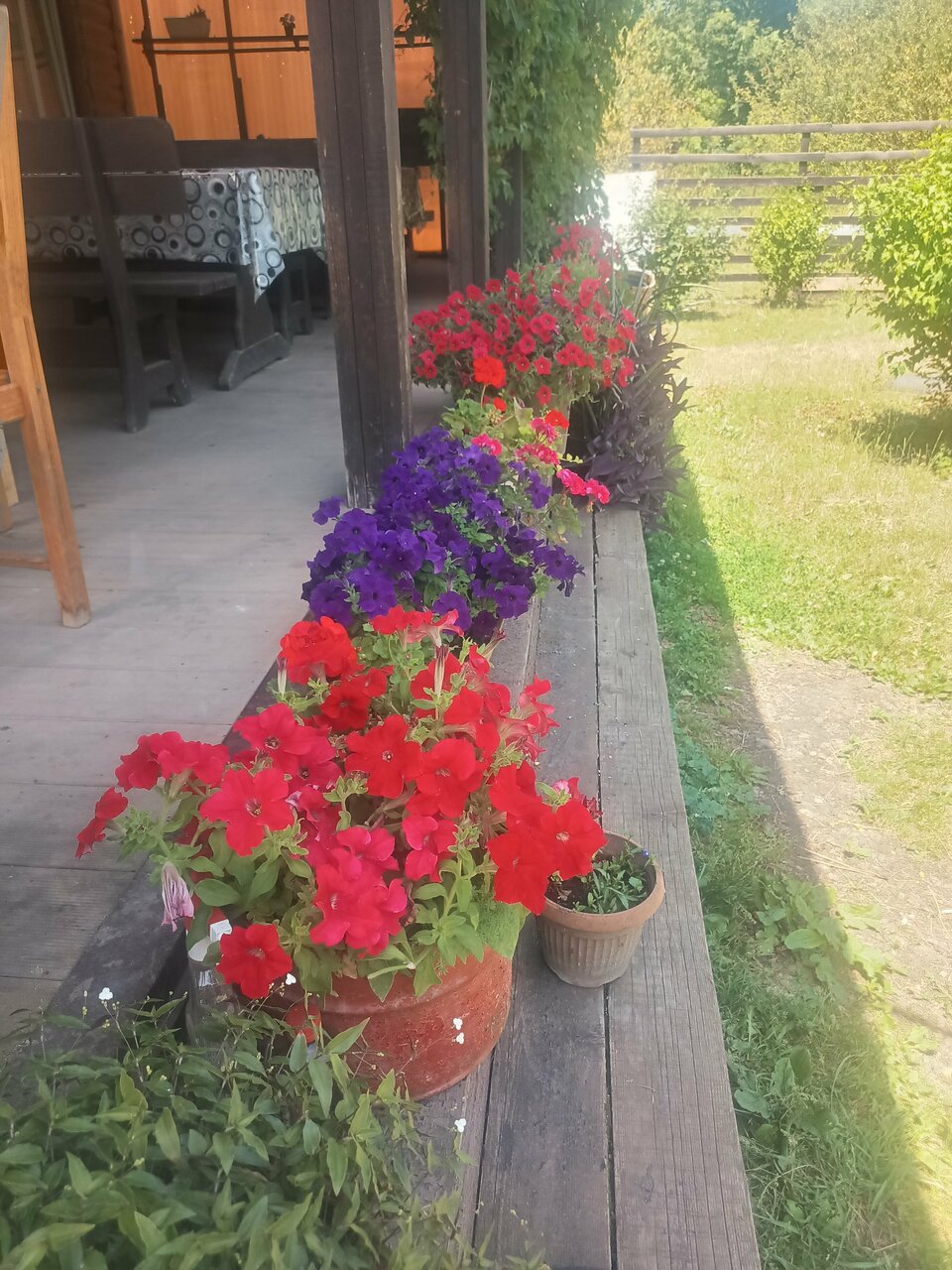 Гостиница Тихая полянка Даховская-118