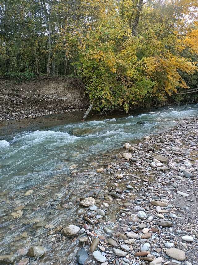 Гостиница Тихая полянка Даховская-46