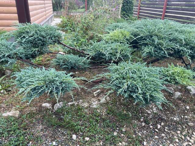 Гостиница Тихая полянка Даховская-196