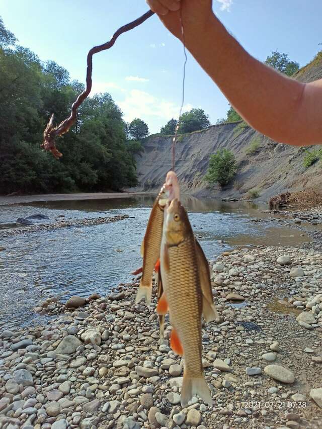 Гостиница Тихая полянка Даховская-119