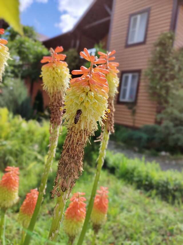 Гостиница Тихая полянка Даховская-39