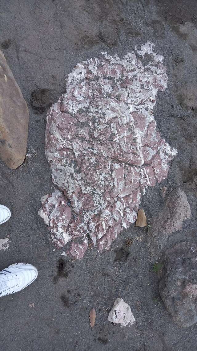 Гостиница Тихая полянка Даховская-98