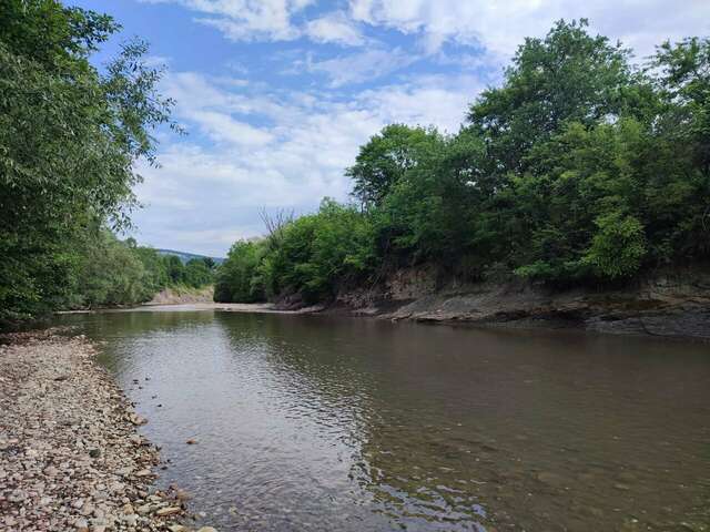 Гостиница Тихая полянка Даховская-87