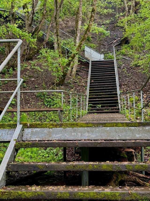 Гостиница Тихая полянка Даховская-153