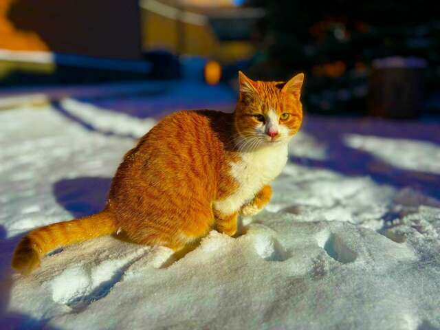 Гостиница Тихая полянка Даховская-125