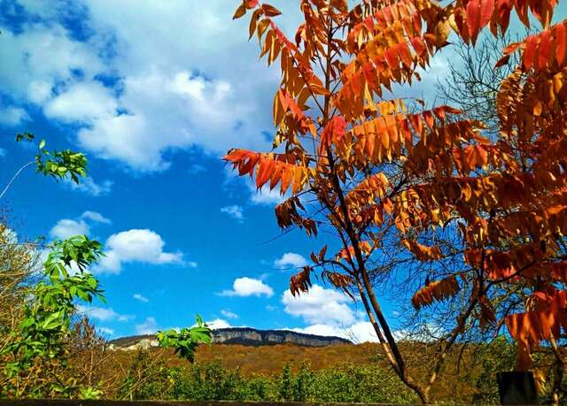 Гостиница Тихая полянка Даховская-112