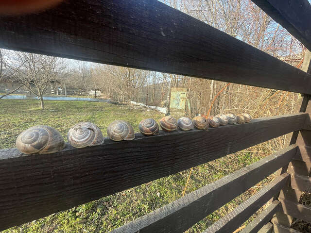 Гостиница Тихая полянка Даховская-49