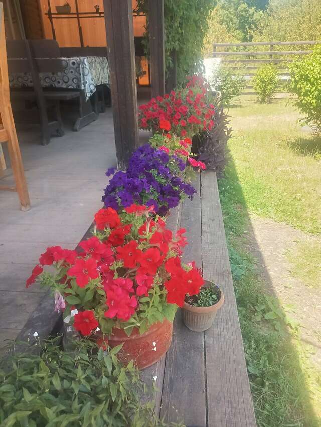 Гостиница Тихая полянка Даховская-117