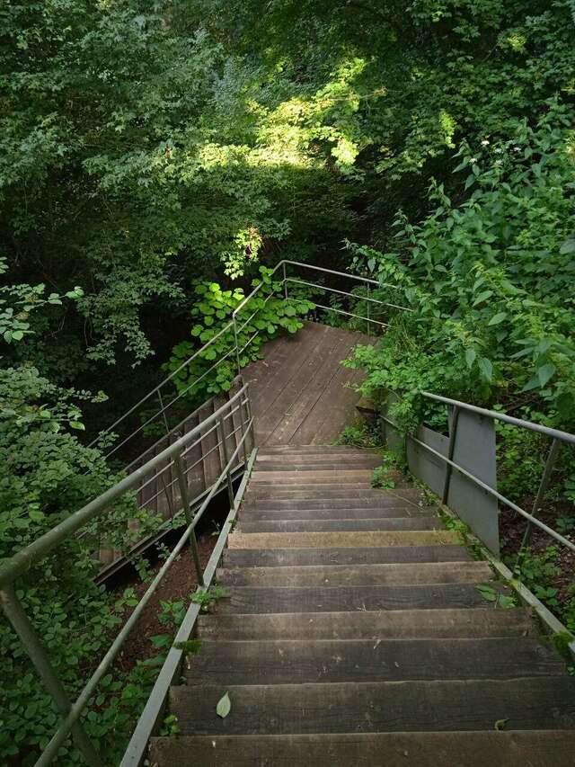 Гостиница Тихая полянка Даховская-11